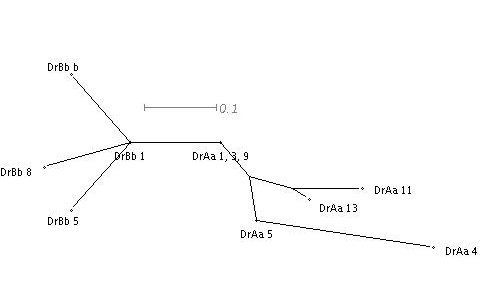 Image tree_cons