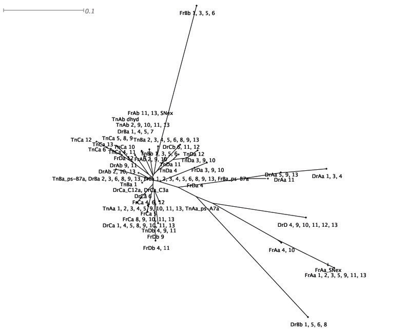 Image tree_meme