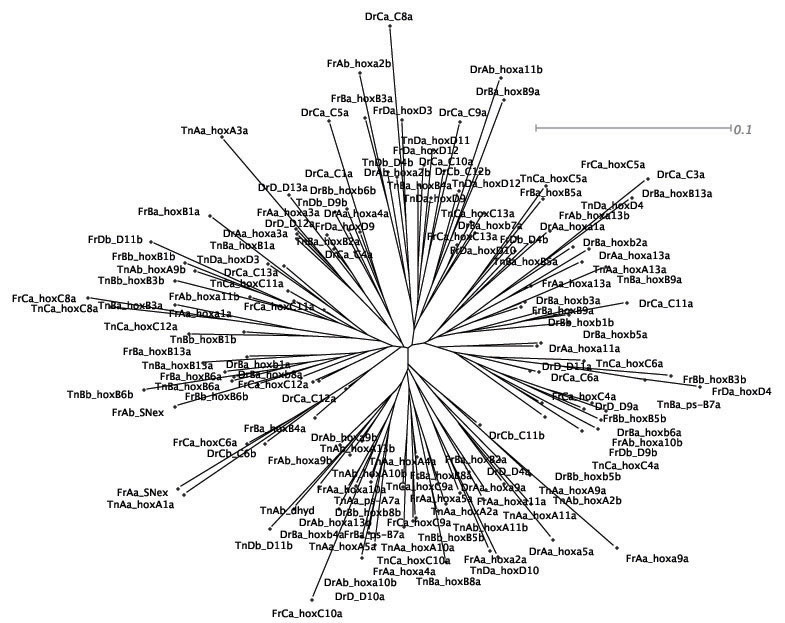 Image tree_pwm