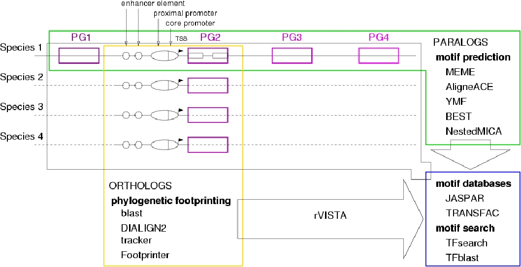 \includegraphics[scale=0.7]{gfx/schema.eps}