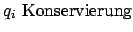 $\displaystyle q_i \textnormal{ Konservierung}$