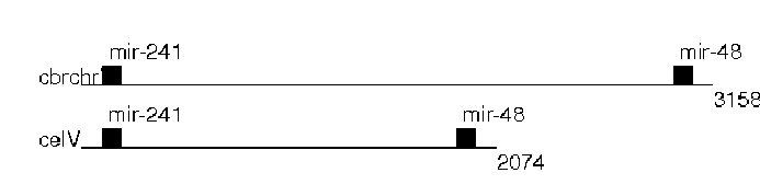 \includegraphics{mir-48.cluster.koords-1.ps}
