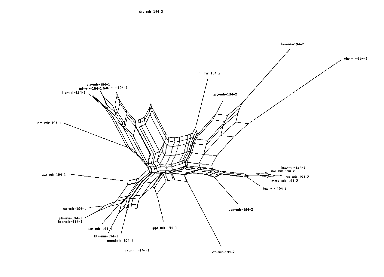\includegraphics[width=800px]{mir-192/MIPF0000055.blastout.aln.eps}