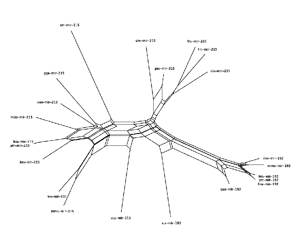 \includegraphics[width=600px]{mir-192/MIPF0000063.blastout.aln.eps}
