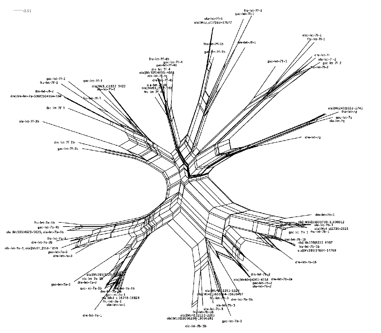 \includegraphics[width=800px]{MIPF0000002-teleostei.blastout.aln.eps}