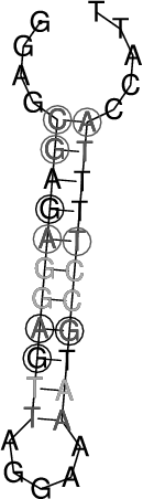 Image 1820_1855_ss.png