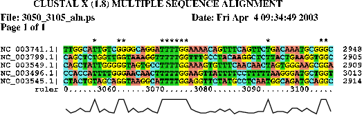 Image 3050_3105_aln.png