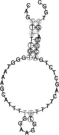 Image 3050_3105_ss.png