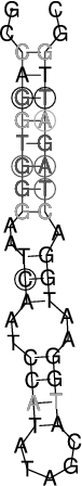 Image 4650_4695_ss.png
