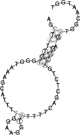 Image 3020_3080_ss.png