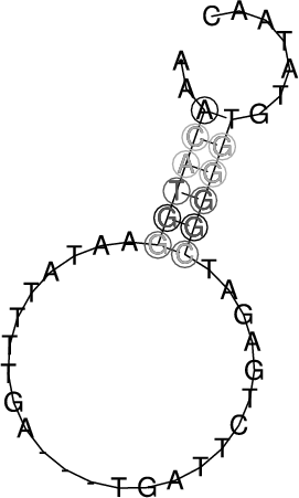 Image 3425_3470_ss.png