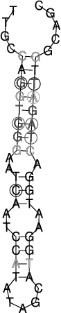Image 4610_4660_ss.png
