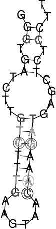 Image 2600_2640_ss.png