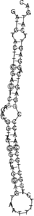 Image 2035_2110_ss.png