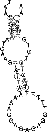 Image 3410_3460_ss.png