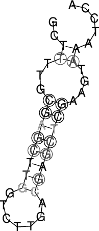 Image 545_585_ss.png