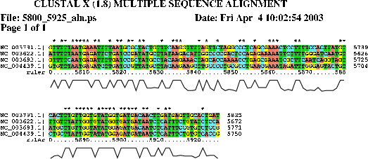 Image 5800_5925_aln.png
