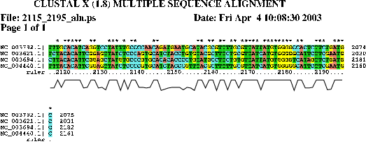 Image 2115_2195_aln.png