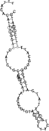 Image 2115_2195_ss.png