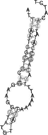 Image 2935_2990_ss.png