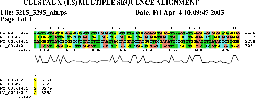 Image 3215_3295_aln.png