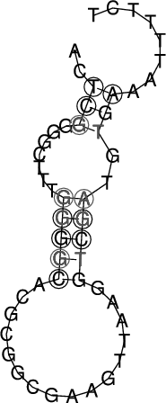 Image 4630_4680_ss.png