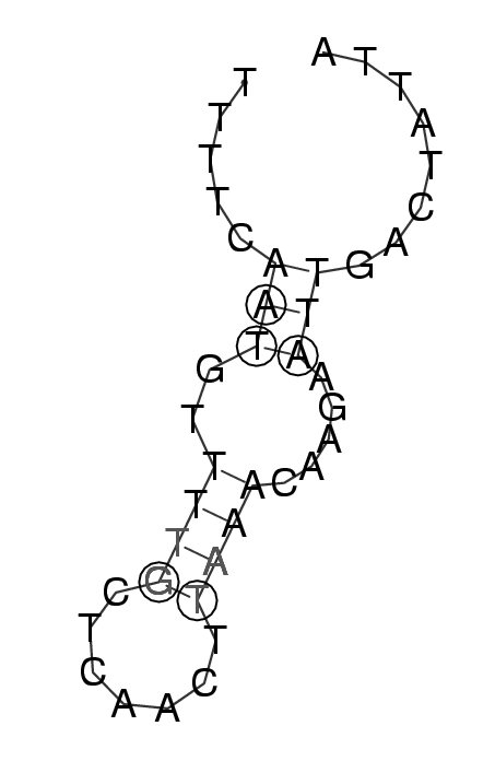 3860-3900