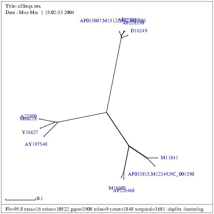 allSeqs
