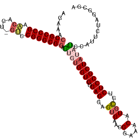 secondary structure