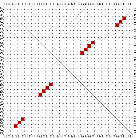 dotplot