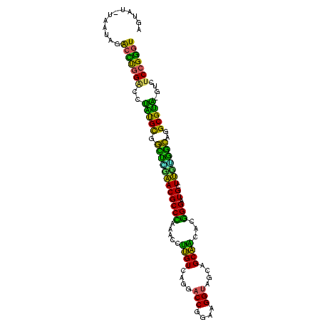 secondary structure