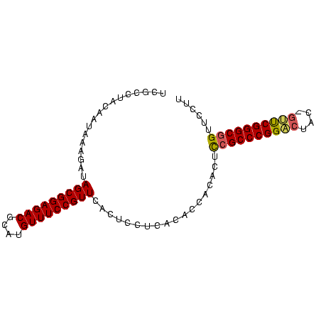 secondary structure