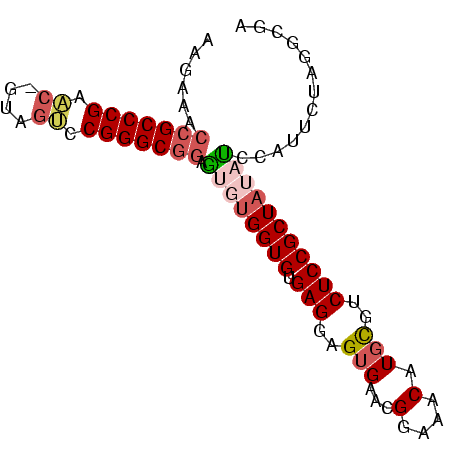 secondary structure