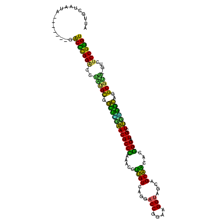 secondary structure