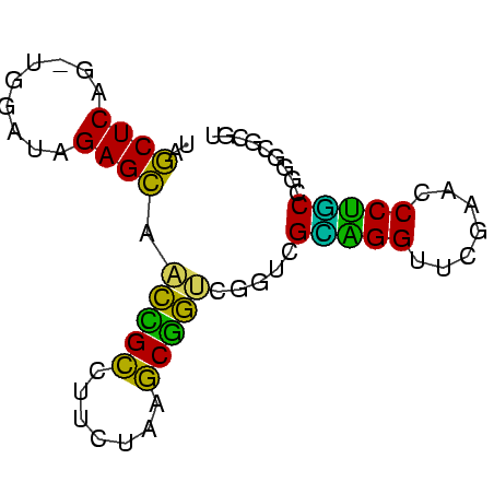 secondary structure