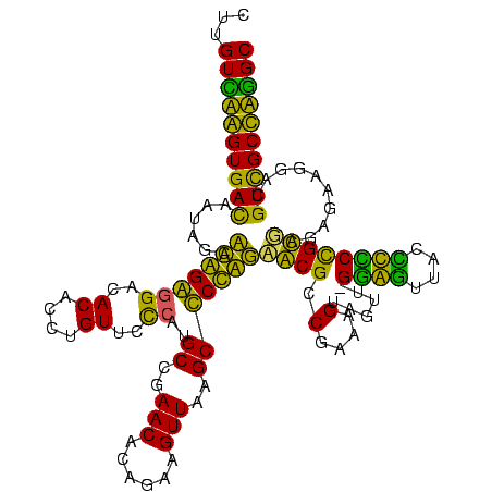 secondary structure