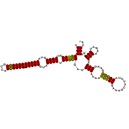 secondary structure