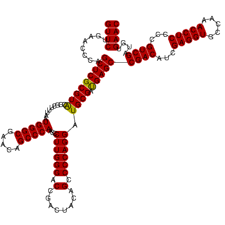 secondary structure