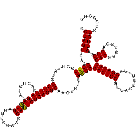 secondary structure