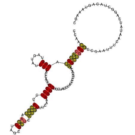 secondary structure