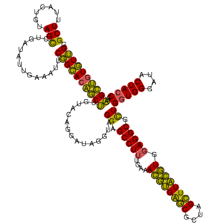 secondary structure