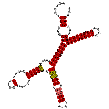 secondary structure