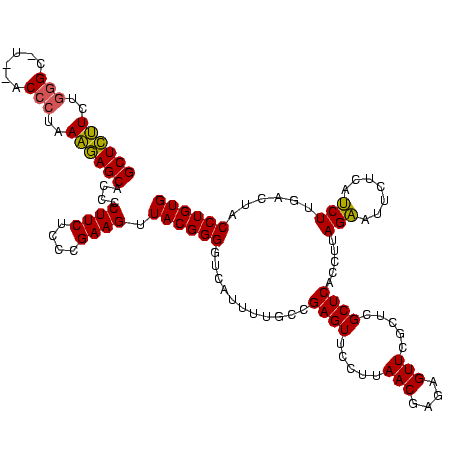 secondary structure