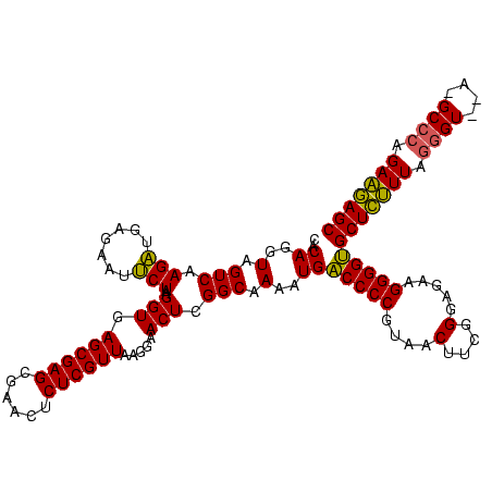 secondary structure