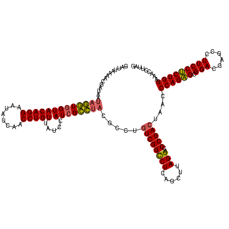 secondary structure