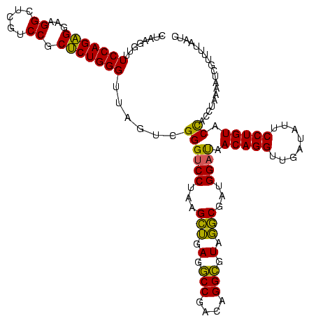 secondary structure