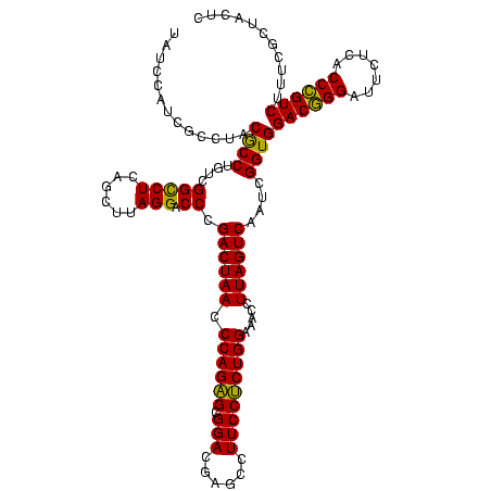 secondary structure