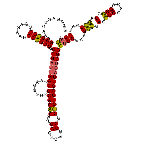 secondary structure