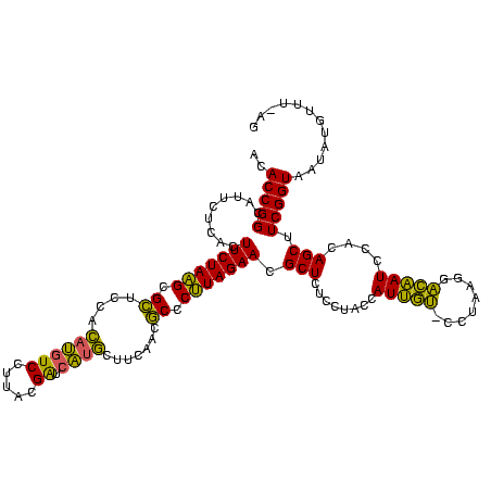 secondary structure