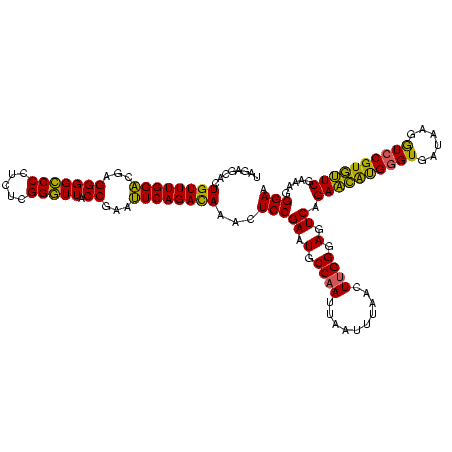 secondary structure